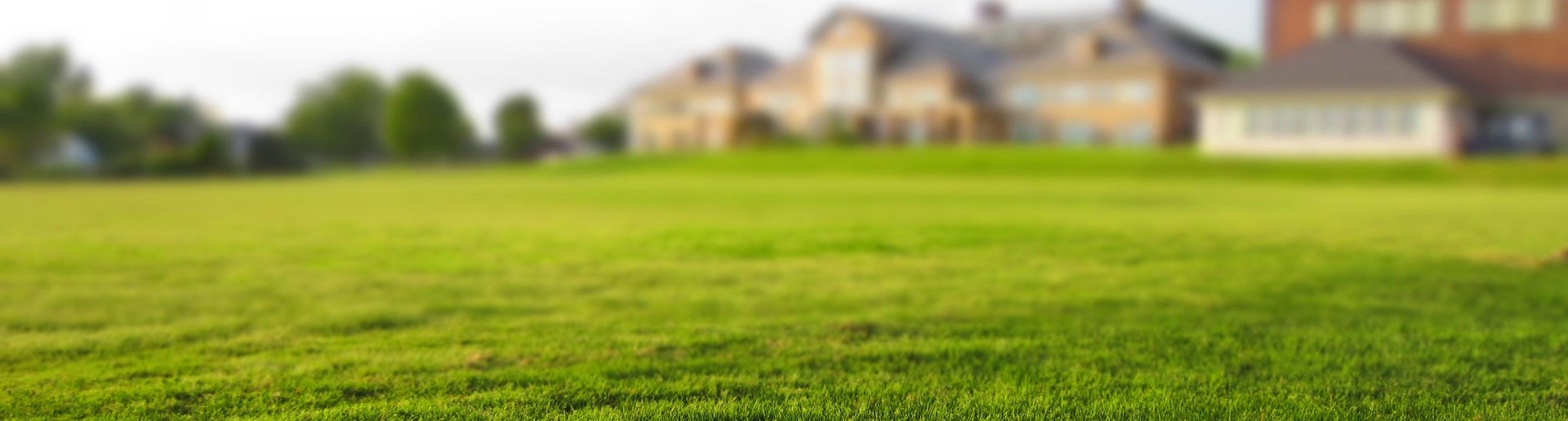 Sedalia Grounds Banner